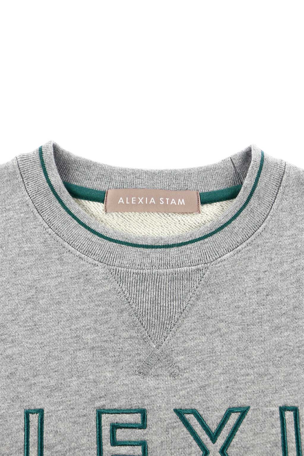 line-rib-front-logo-sweatshirt-gray-09